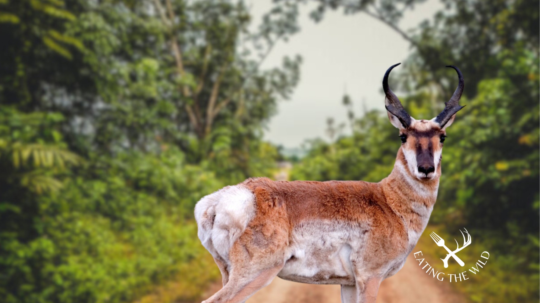 Hunting-Seasons-in-North-Dakota-6