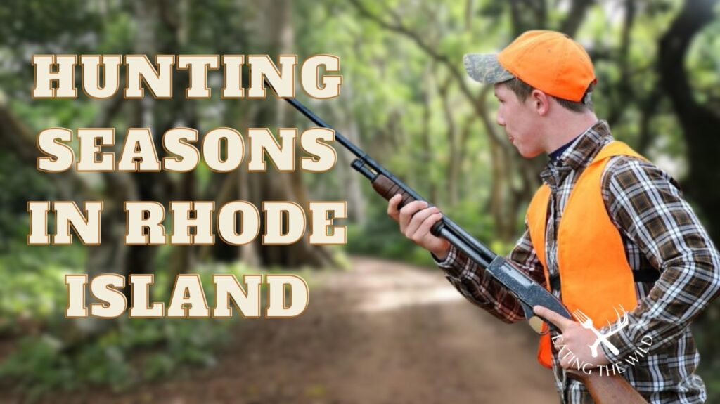 Hunting Seasons in Rhode Island