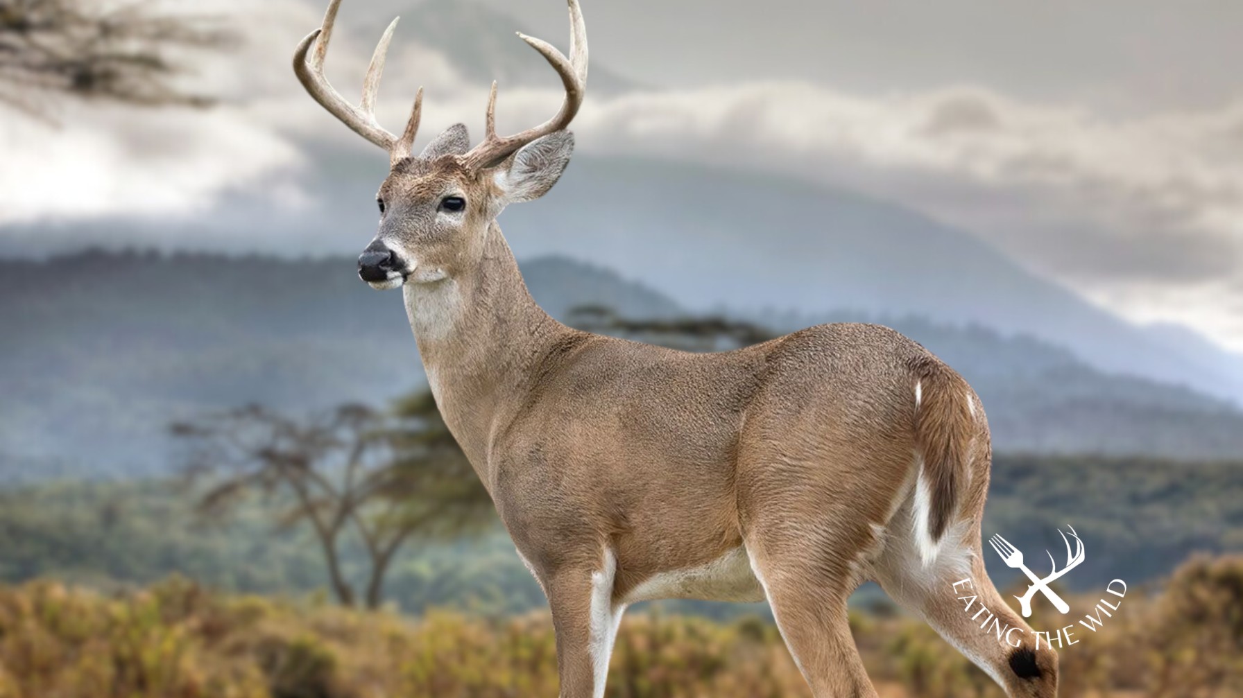 Hunting-Seasons-in-South-Carolina-2