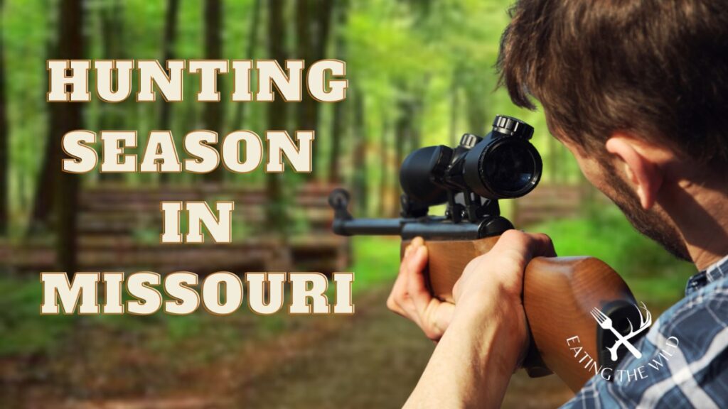 Hunting Season in Missouri