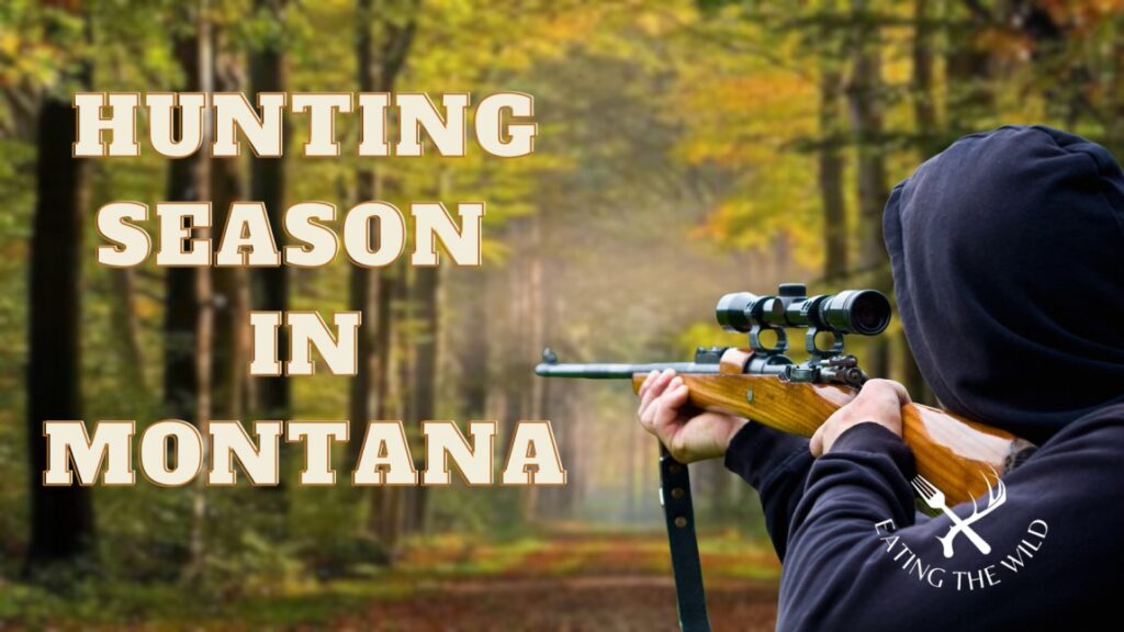 Hunting Season in Montana