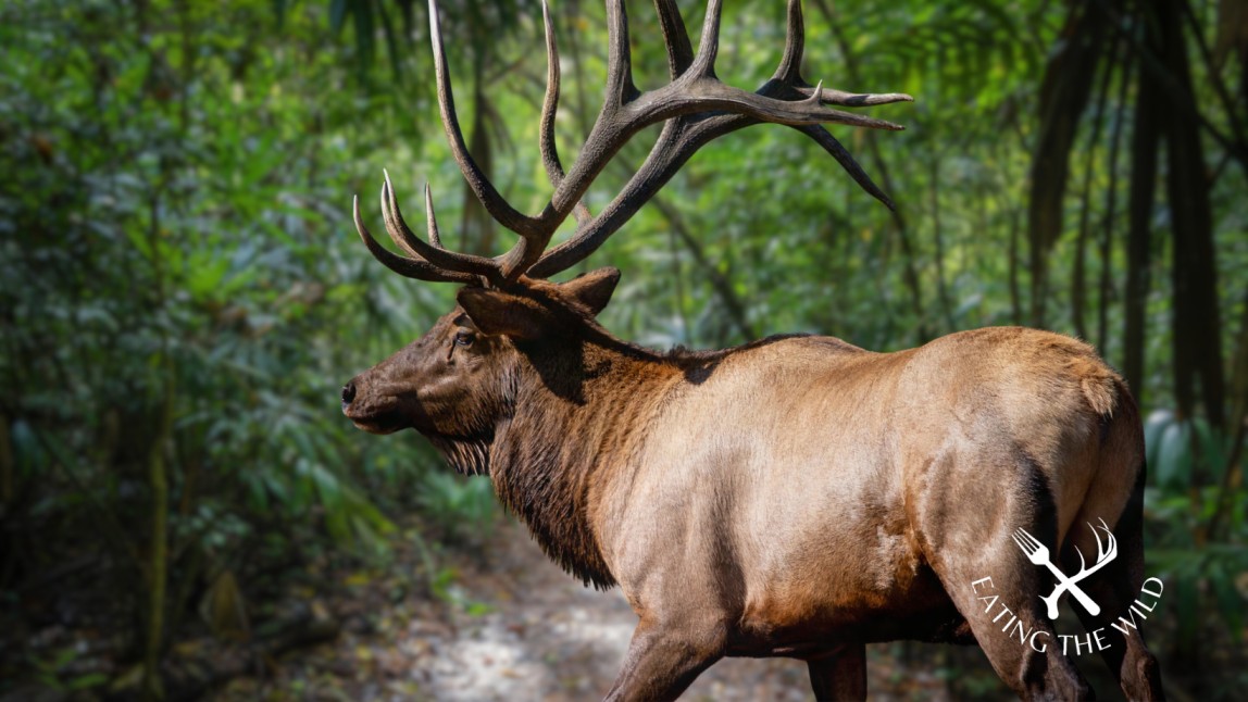 Hunting-Seasons-in-Nevada-3