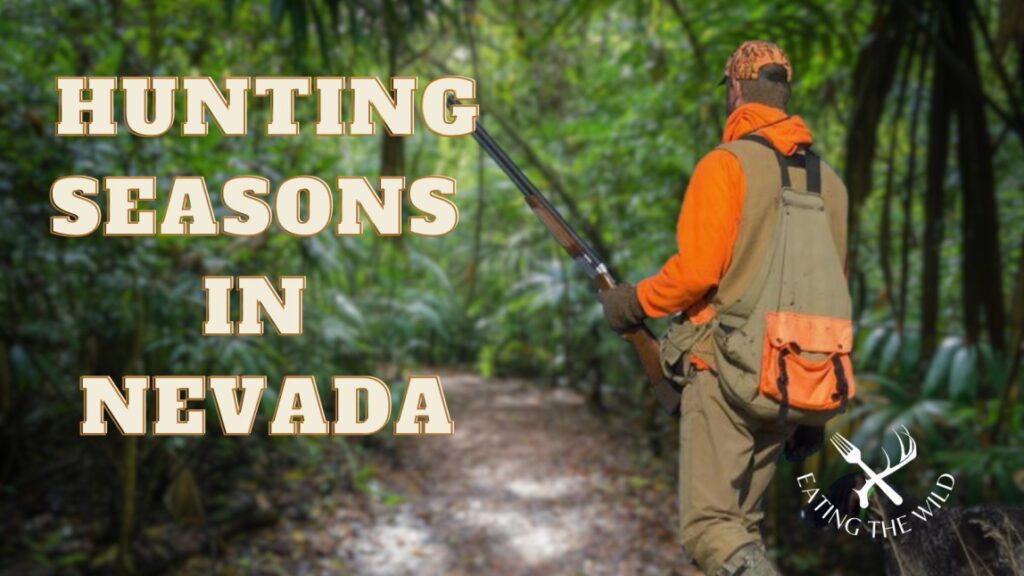 Hunting Seasons in Nevada