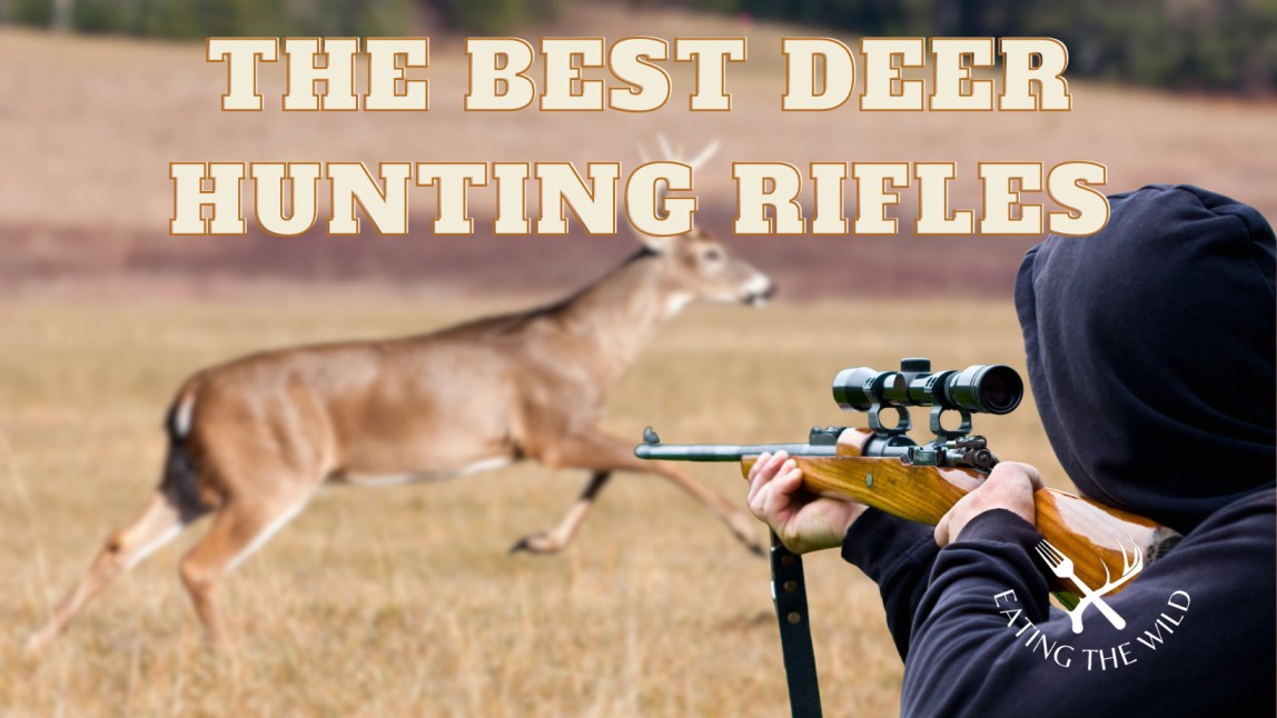 The Best Deer Hunting Rifles The Best Deer Hunting Rifles