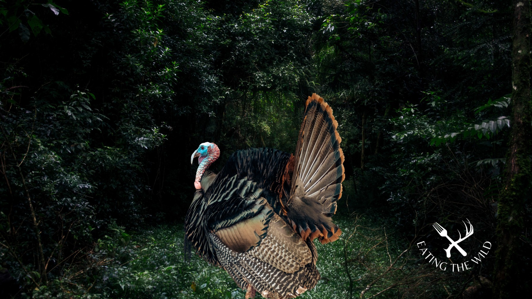 Hunting-Seasons-in-Alabama-2