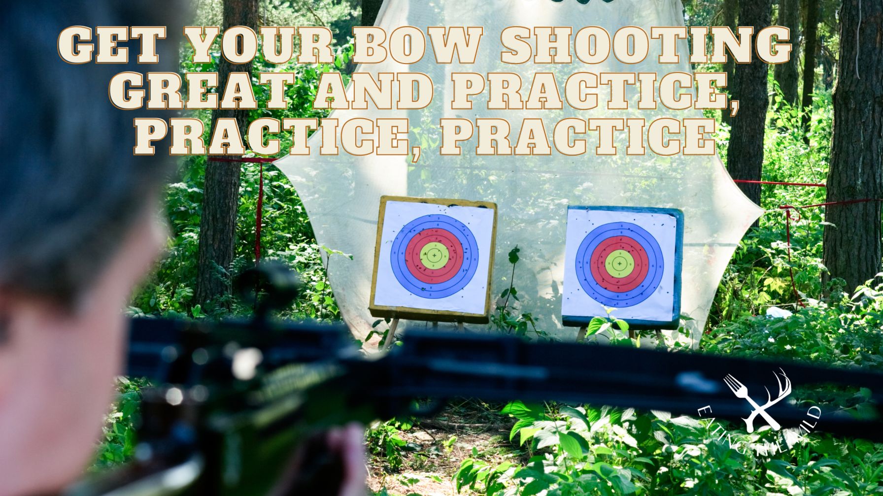 Duck Hunting Dog Training (2)