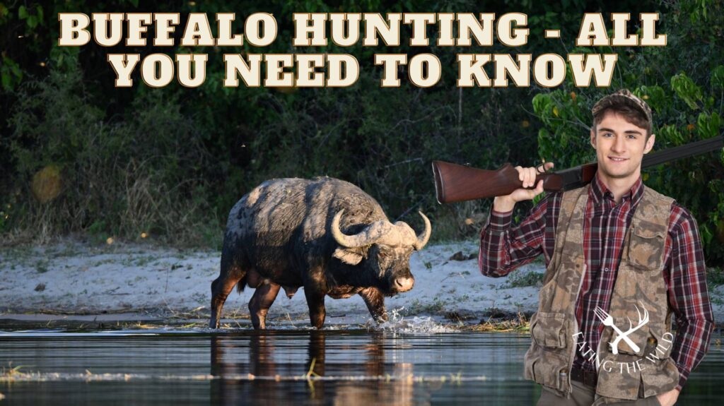 buffalo hunting