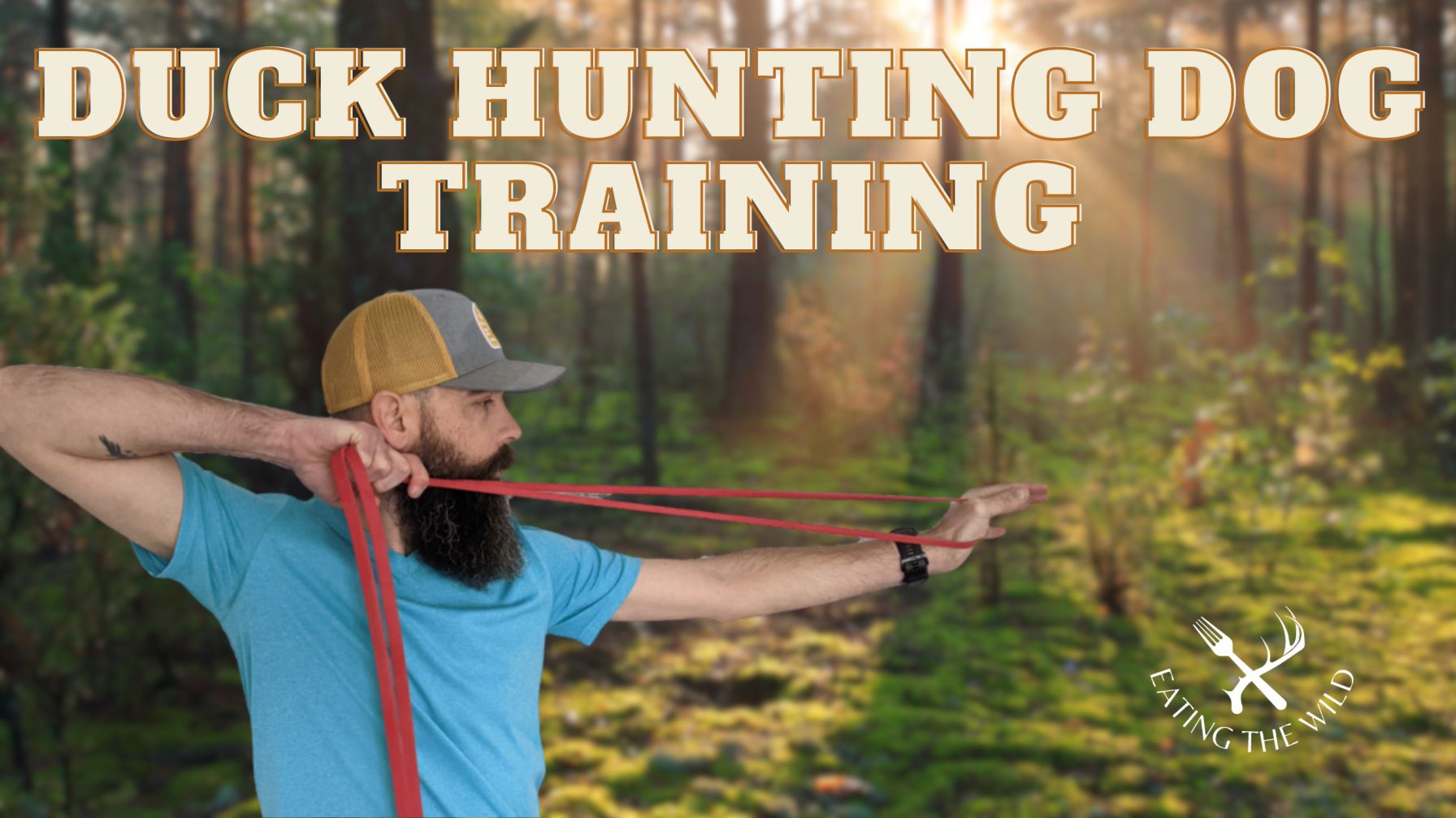 Duck Hunting Dog Training (5)