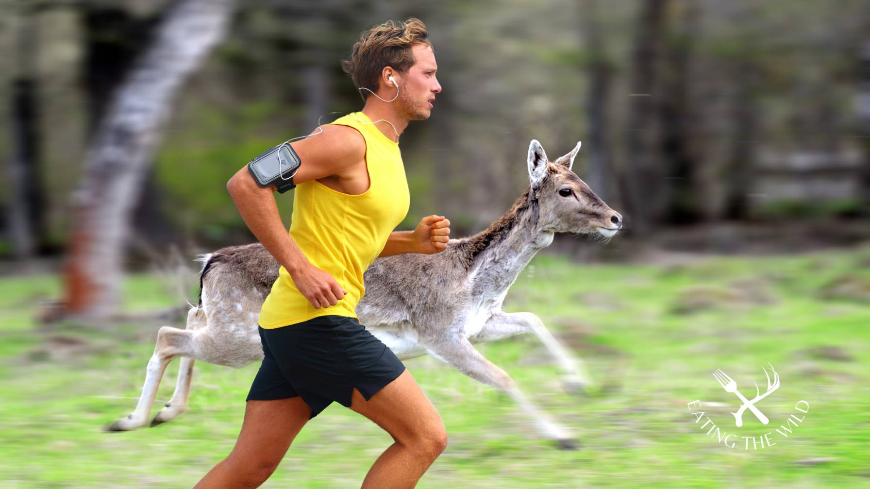 how fast does a deer run how fast does a deer run