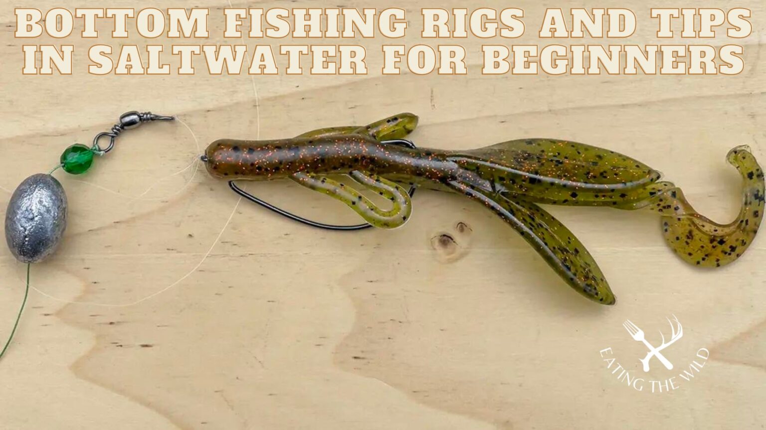 Bottom Fishing Rigs and Tips in Saltwater for Beginners