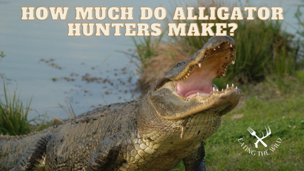 How much do alligator hunters make?